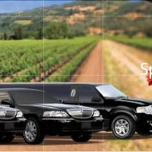 Limos of Napa