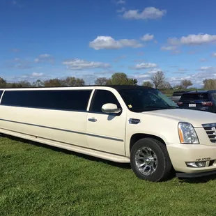Limousine Car Rental