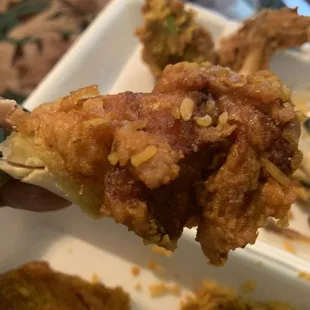 The wings are TOOOO BIG!