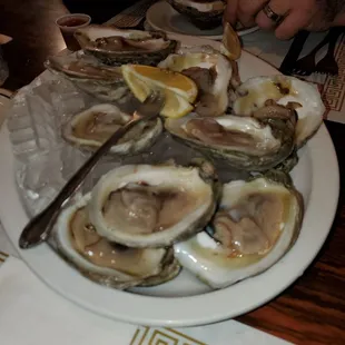Oysters on half shell.