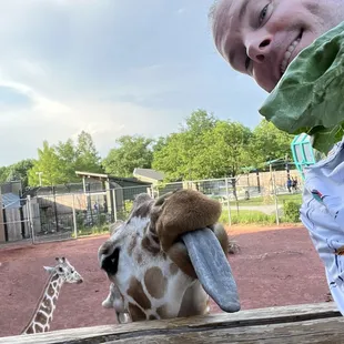 I always love feeding them!