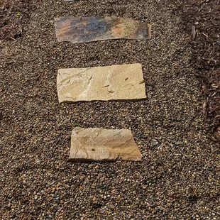 Lincoln Landscaping Company