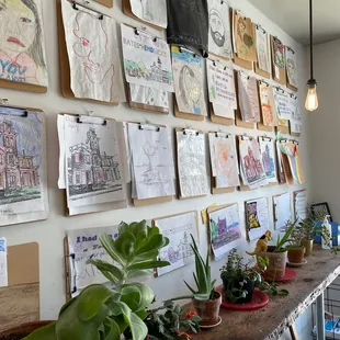 a wall full of drawings and plants