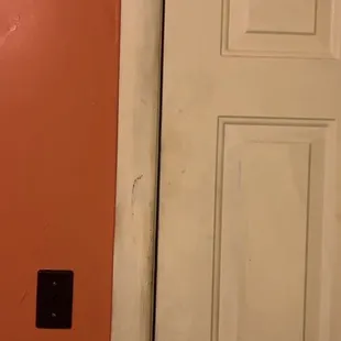 Dirty door and spiders