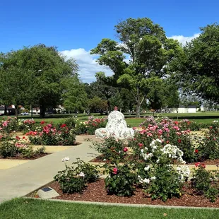 Rose Garden (located at the west end next to the Tracy Branch Library)...