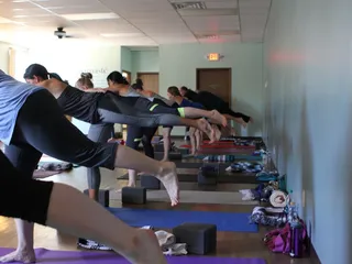 Wild Root Yoga