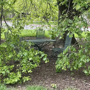 Lovely little shaded seating area