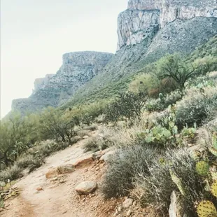 Linda vista trail