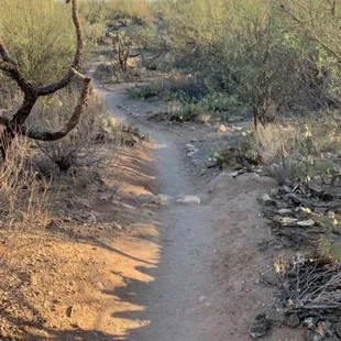 Linda vista trail