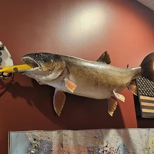  large fish mounted on the wall
