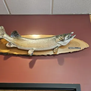  fish mounted on a piece of wood