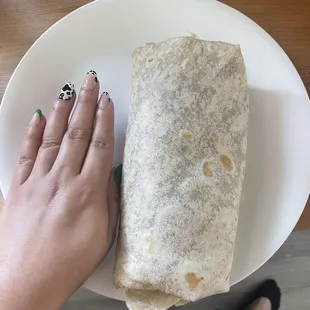 Chile Verde Burrito