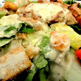 Grilled Chicken on Caesar Salad