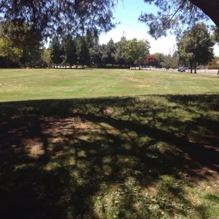 Great grass field for dogs and soccer practice, etc