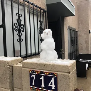 Linden Terrace during the snow
