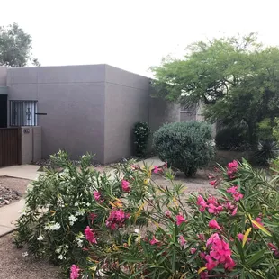 Buildings &amp; grounds