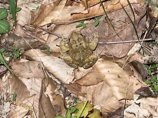 Heartstone Campground