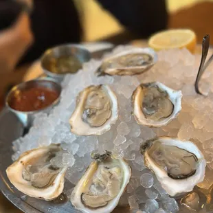 The East coast oysters