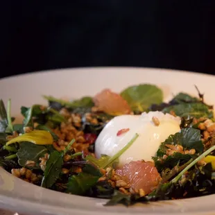 Burrata