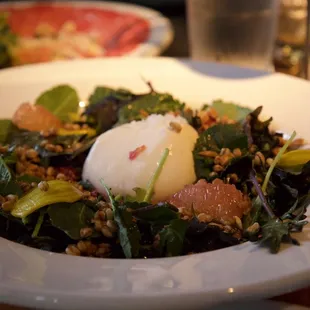 Burrata