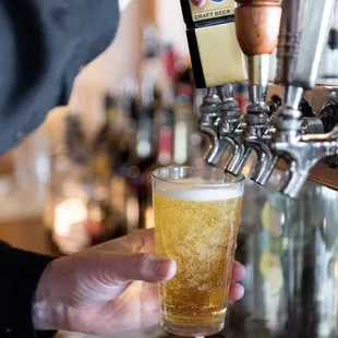 a person pouring a pint of beer