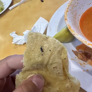 Insect in food.