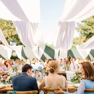 Our backyard wedding designed and planned by Lindsay Lauren Events
