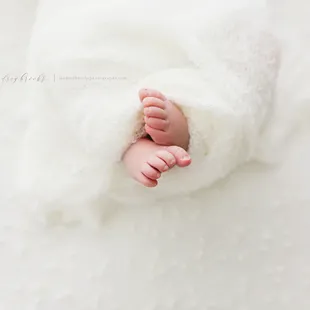 okc city newborn photographer