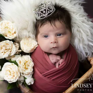 Newborn Portraits