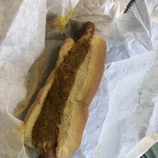 Hotdog with all the fixings.
