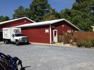 Soft and Salty Seafood