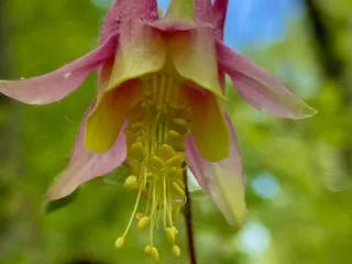 Burr Oak Woods Conservation Nature Center