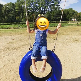 Rotating Tire Swing