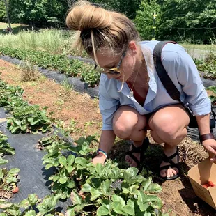 Pickin berries. It was v hot outside