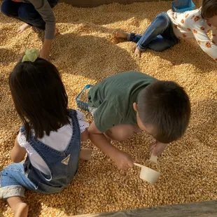 Corn pit