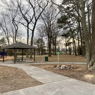 They're in the process of removing some of the trees at this park: note the large one removed in the front here.