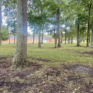 Small wooded area between St Francis Episcopal Church and the park