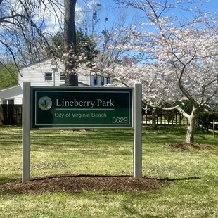 March Dogwood tree blooms line the front perimeter of the park facing the street