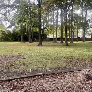 Another view of the small field which gives way to a small wooded area