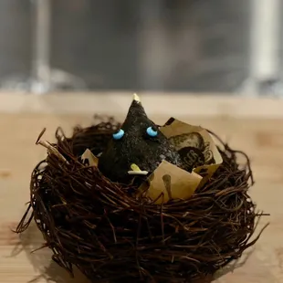 a bird nest with blue eyes