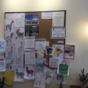 Check out the board if you're looking for things to do in and around Belleville, the Llama even hosts classes from time to time