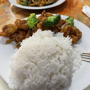 General chicken