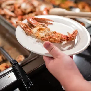 a person holding a plate of food