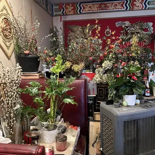 a variety of plants