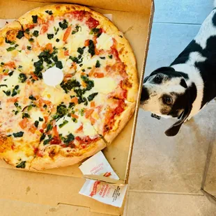 to go - spinach pizza