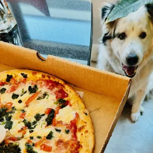 to go - spinach pizza