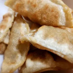 Deep Fried Potsticker