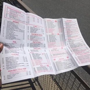 a hand holding a menu