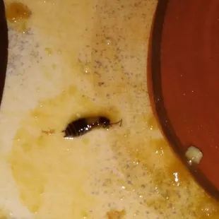 I found this in my Egg Foo Young last night. I&apos;m extremely disappointed in this