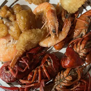 Shrimp and Crawfish